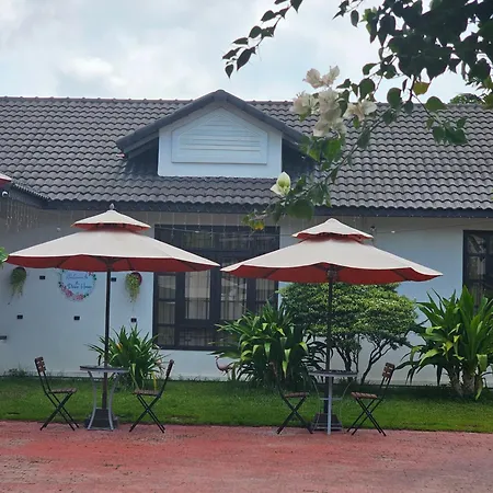 The Peace House - Siem Reap